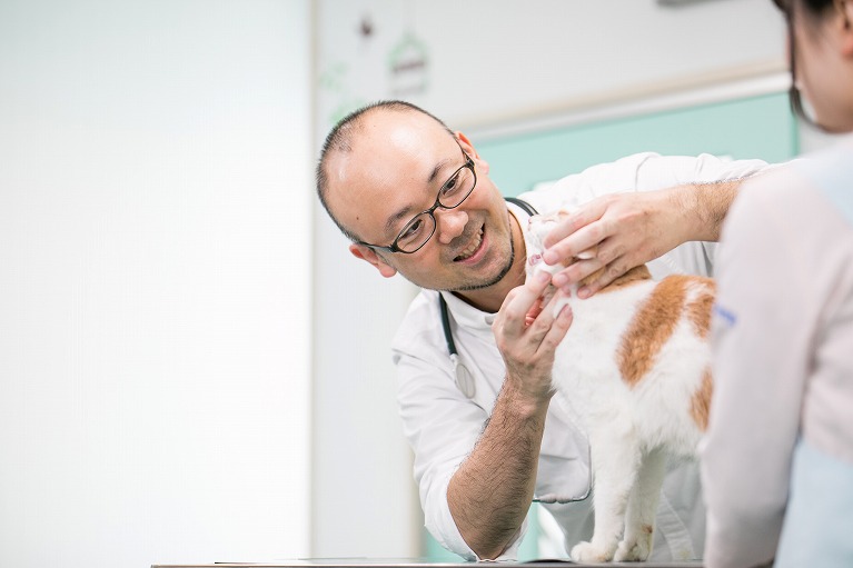 ほんご動物病院からのごあいさつ